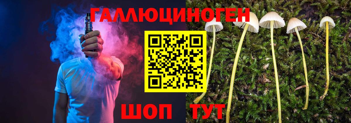 Галлюциногенные грибы прущие грибы  Вход с VPN  сколько стоит  Железноводск 