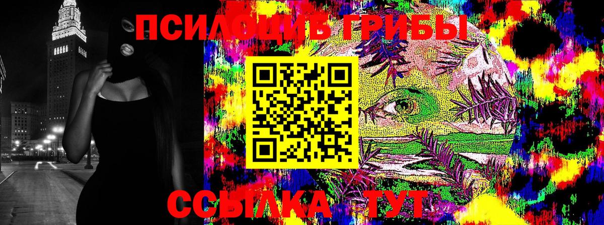 Галлюциногенные грибы Cubensis Железноводск